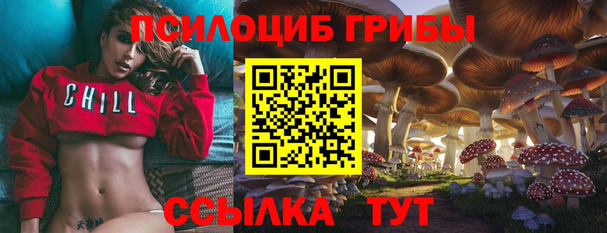 Псилоцибиновые грибы Magic Shrooms Куйбышев